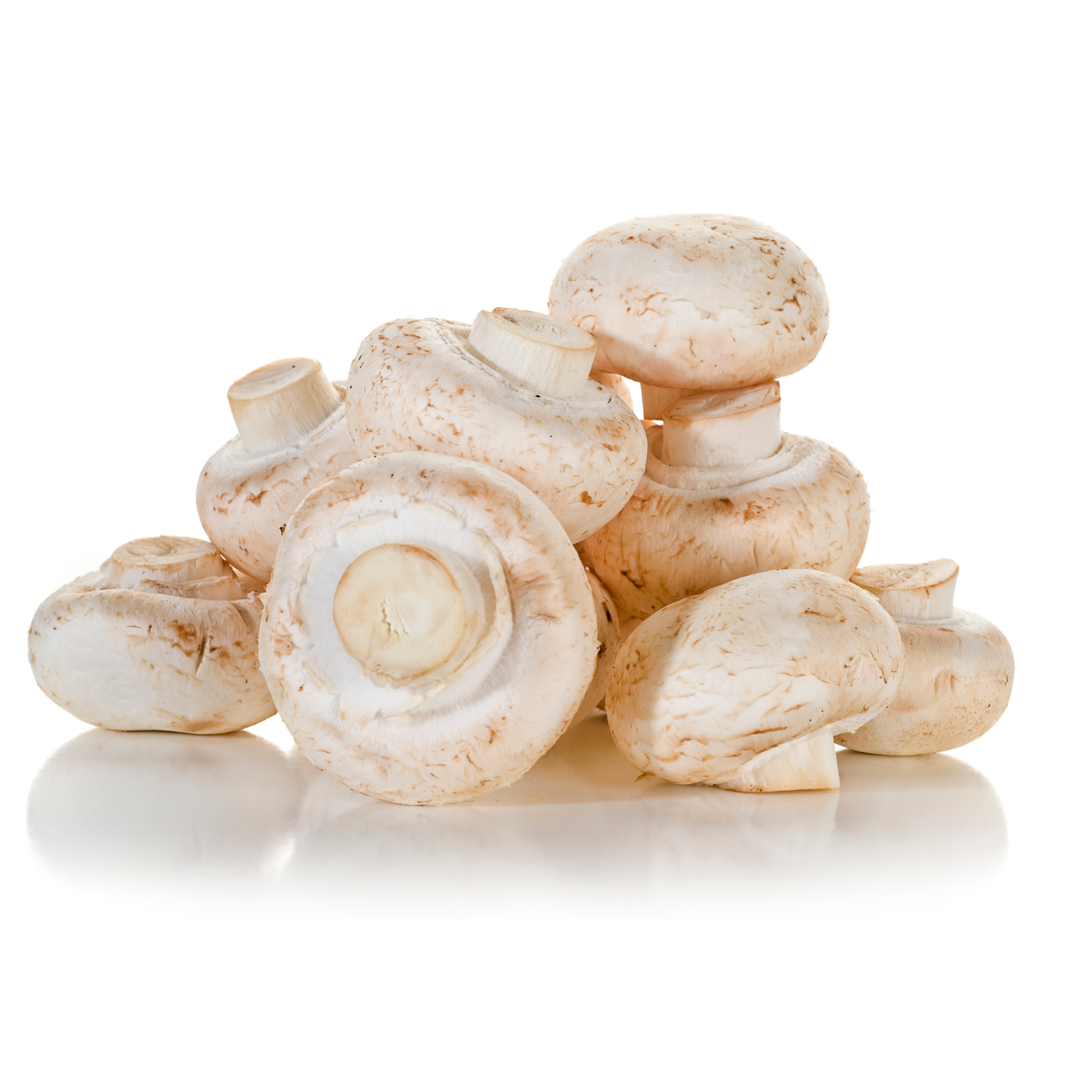 Оптовая продажа дешевых здоровых сушеных грибов шиитаке