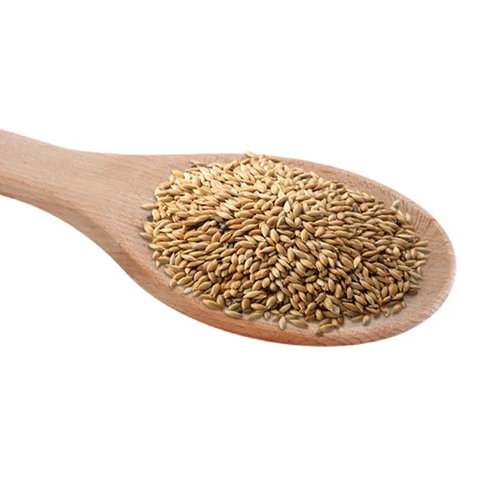 organic canary seed