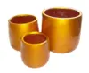 Gloss Gold