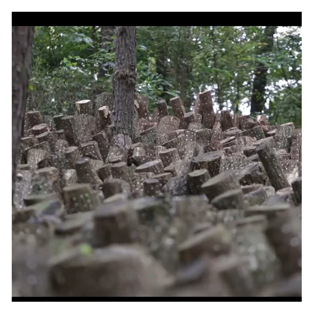 Уксус пермана 500 мл, лучший корейский полезный фруктовый экстракт, напиток, сушеный и консервированный продукт уксуса пермана