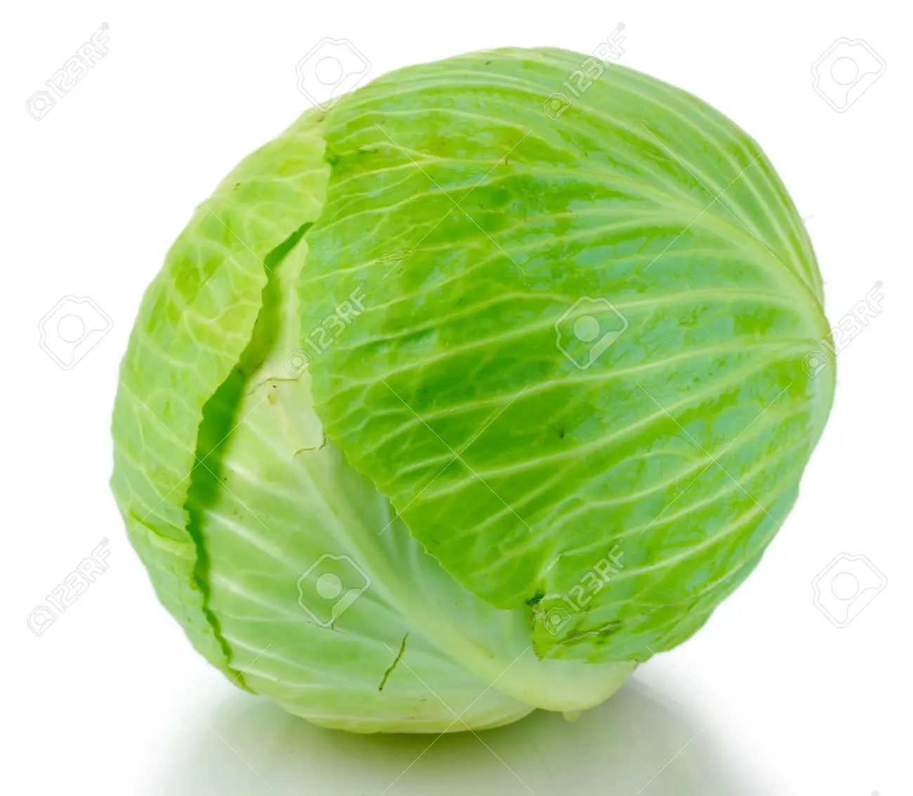 Best Supplier Fresh Green White Cabbage And Benefit For Health Lina 84 6 625 614 Buy Fresh Pointed Cabbage Fresh Green White Cabbage Cabbage Product On Alibaba Com