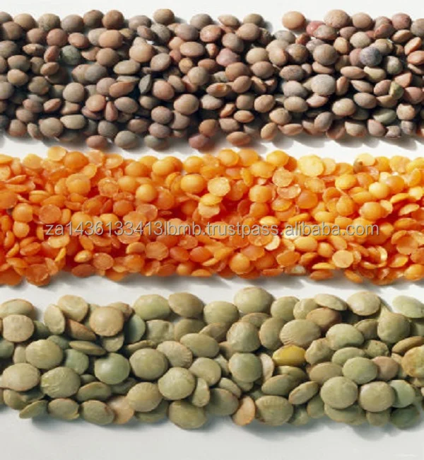 lentils 2.jpg