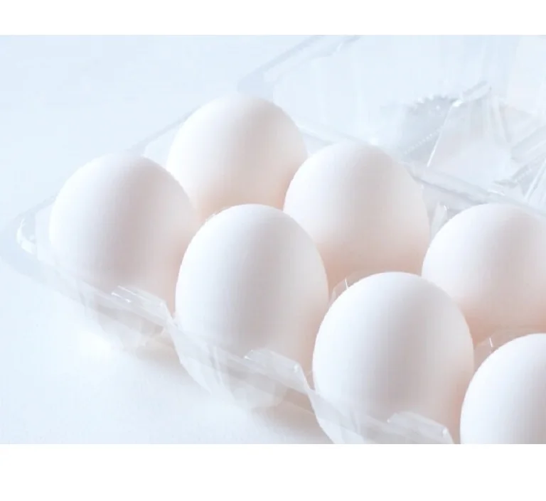 Big Sale Fresh Organic White Chicken Eggs Competitive Price Wholesale