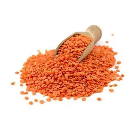 quality red lentils lentils/red lentils,red whole lentils,red