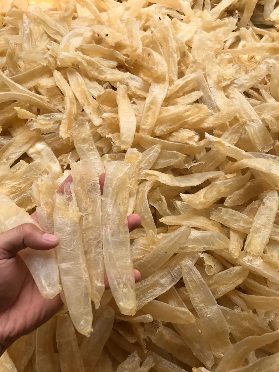 High Quality Dried Ling Fish Maw / Yellow Croaker Fish Maw Dried