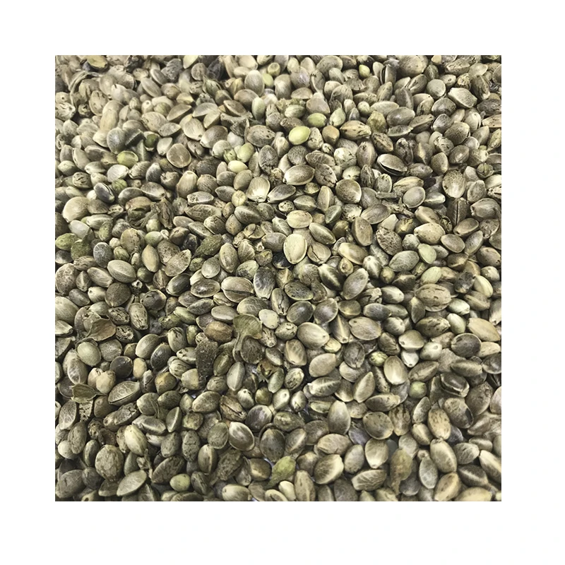 Manufacturer Hemp Grain Natural 100% Low Price  Wholesale Purity Seeds