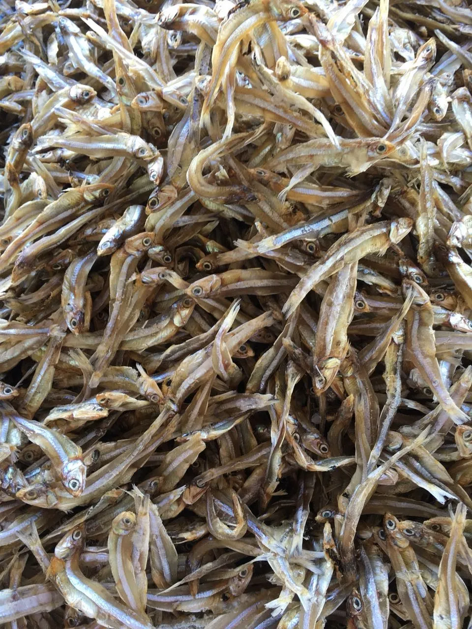 Good Quality Dried Anchovy Well Sun Sprats For Sale Dry Fish None