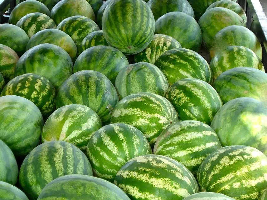 watermelon.jpg