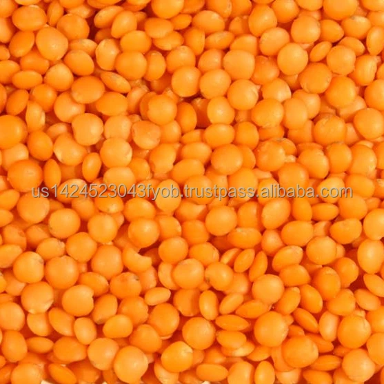 Green & Red Lentils2.jpg