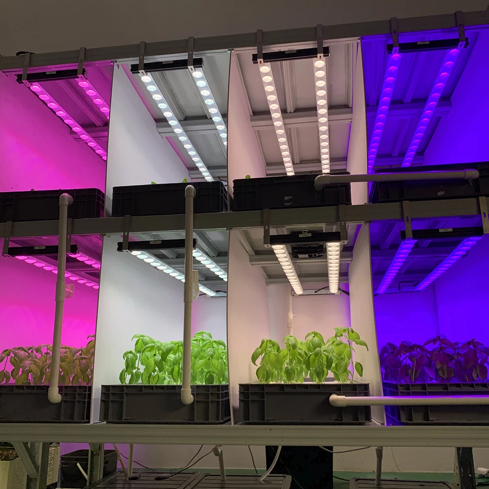 Koray ARZ Array Type Shelf Planting Plants Horticulture Lighting Grow Lights