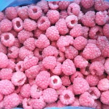 Сертифицированная BRC цельная замороженная Малина/замороженные фрукты IQF, замороженная свежая Малина оптом