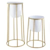 White & Gold