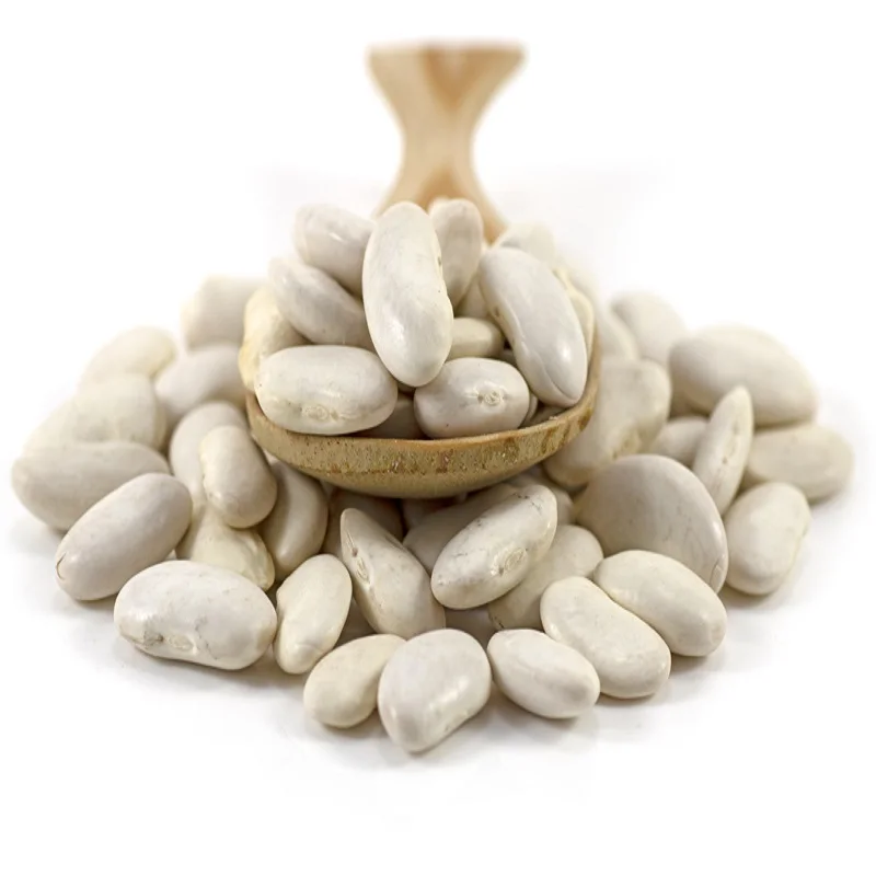 Wholesale Price Dried Butter Beans