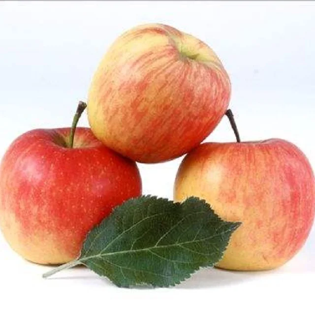Remmen mogelijkheid draagbaar Online Kopen Verse Rose Apple - Buy Rode Heerlijke Verse Appels Online  Kopen,Verse Appels Van Vers Fruit Product on Alibaba.com