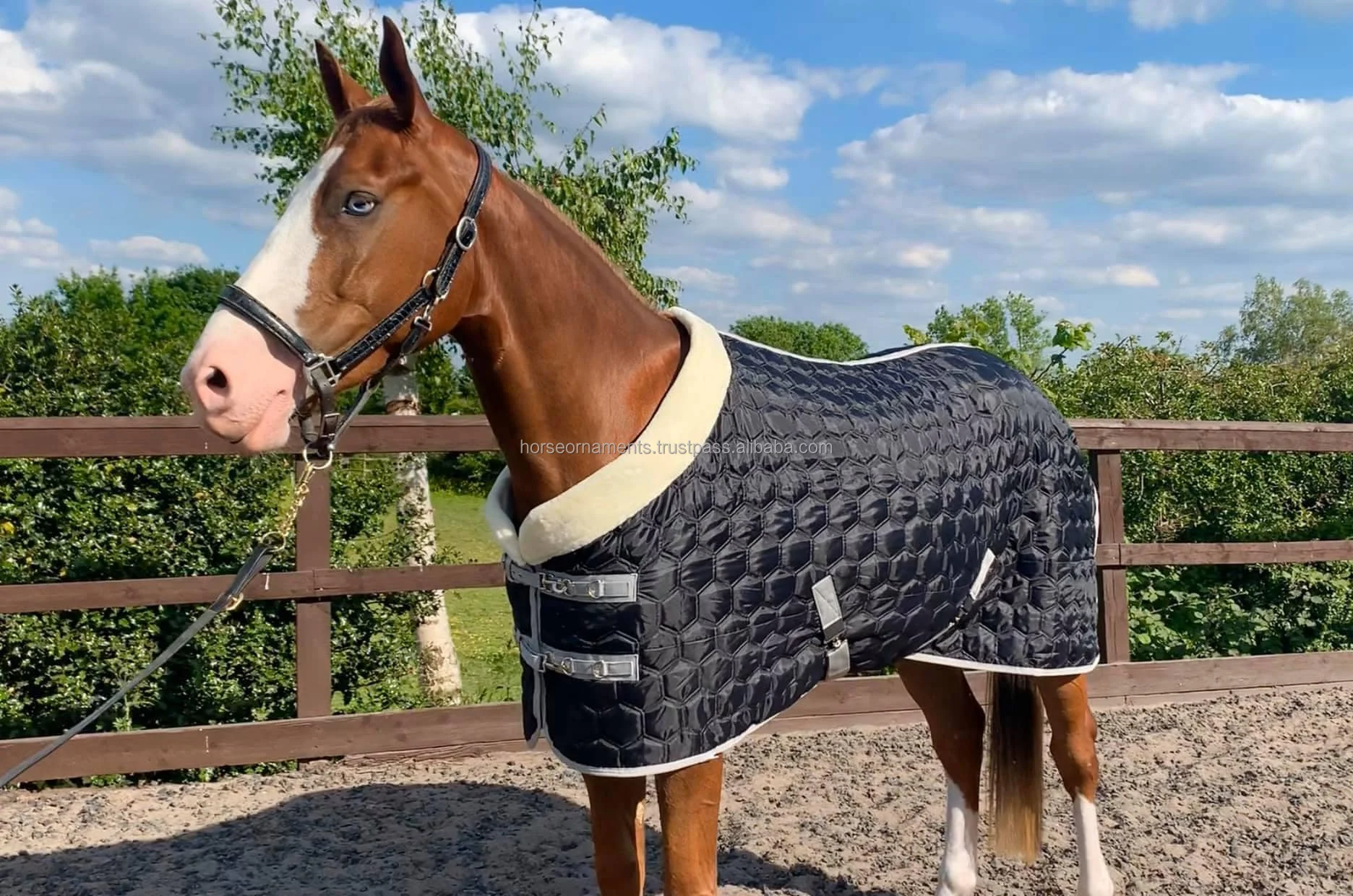 Stable Rug.jpg