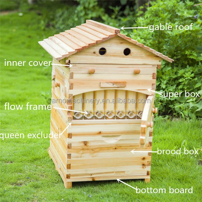 Bee box (10).jpg