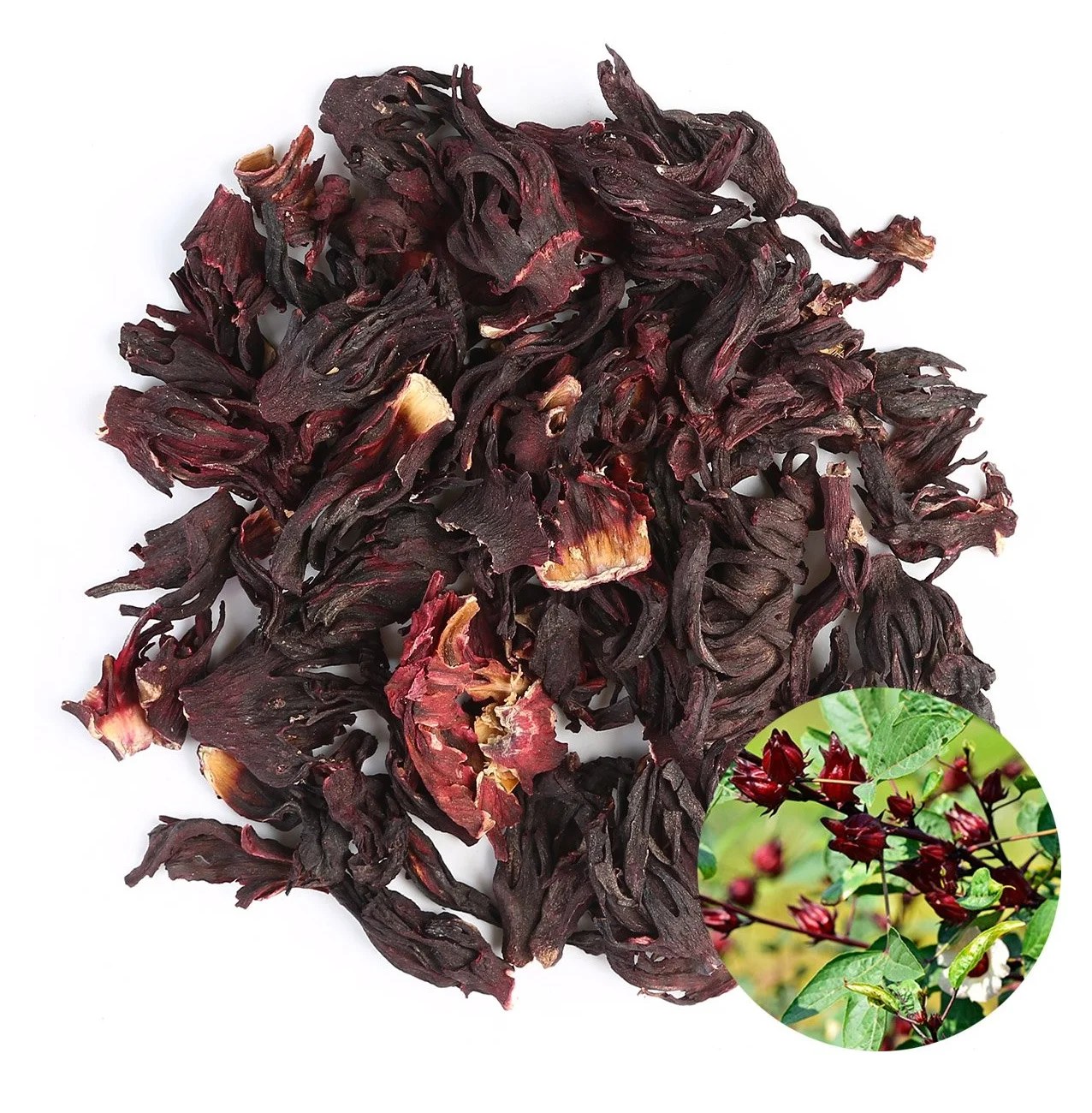 whole dried hibiscus-dried hibiscus flower tea-dried