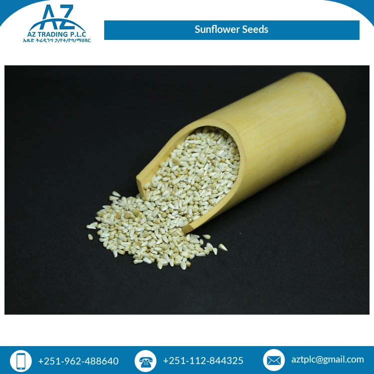 2021 Новое поступление сушеных семян подсолнечника для обычного культивирования оптом