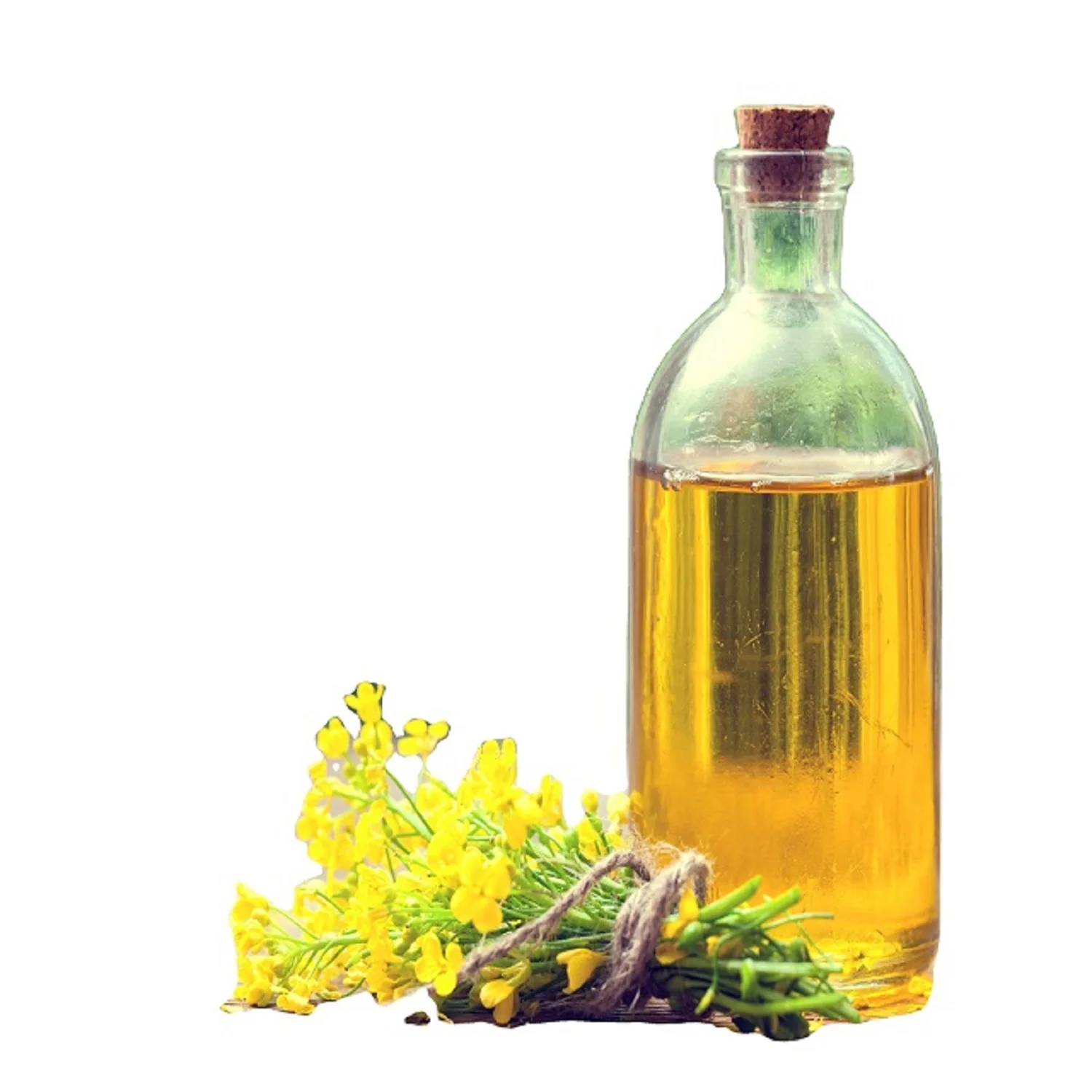 Rapeseed oil Certified Organic 100 % Pure Refined Rapeseed Oil, Canola Oil, Crude degummed rapeseed oil