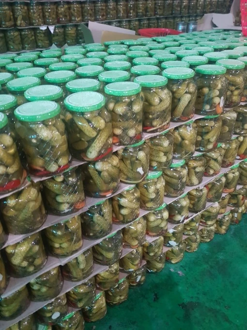 Стандартный экспорт маринованных огурцов Вьетнам 2021