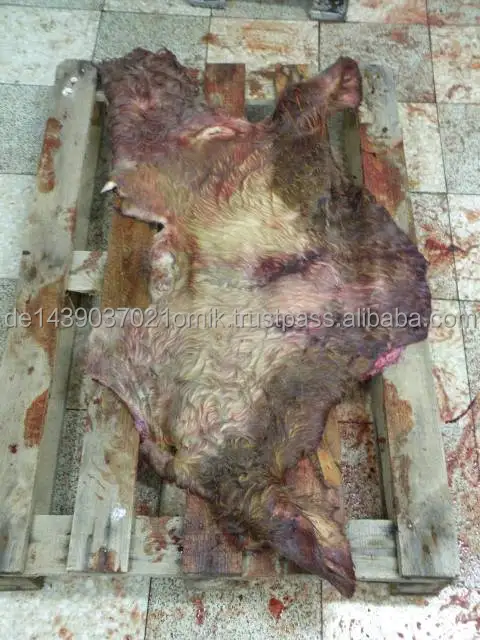 wet salted cow hides.jpg