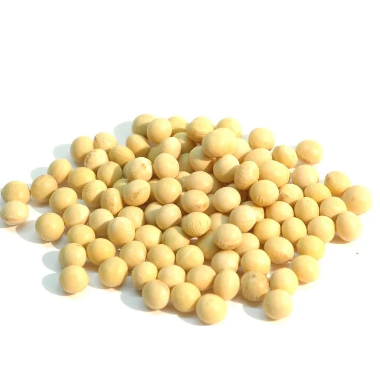 хлопковые семена рис. соко семена сои. соё. соя растение. соя сухая.