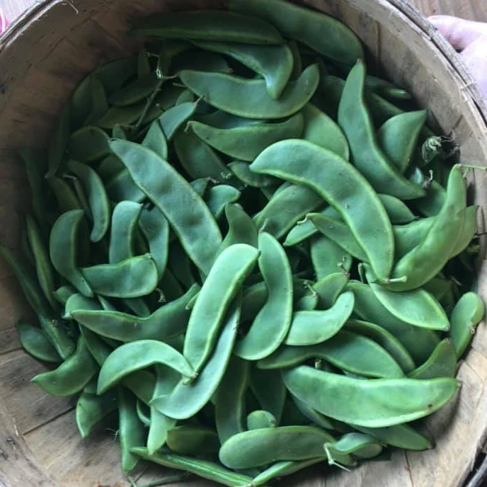 first grade dry lima beans - buy first grade dry lima beans