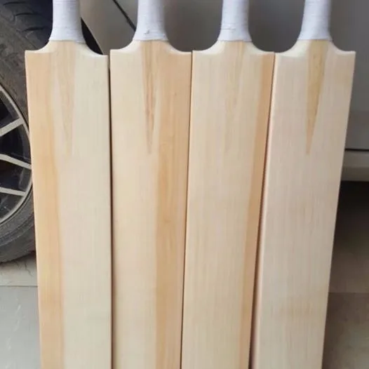 top cricket bats 2020