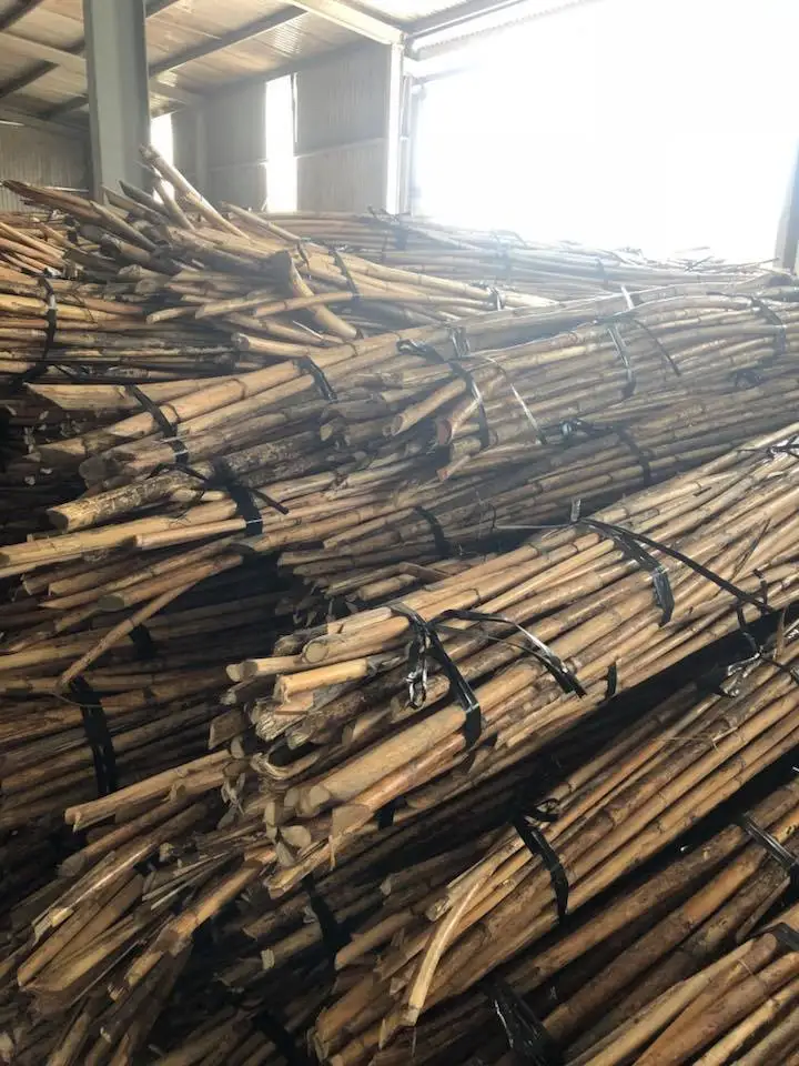 Vietnam Natural Malacca Rattan Canes / Rattan Poles Raw Material For