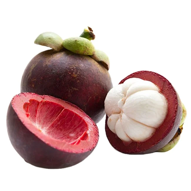 4 (1).png