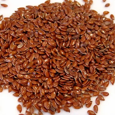 wholesales linseed flax seed golden / brown color flaxseed for