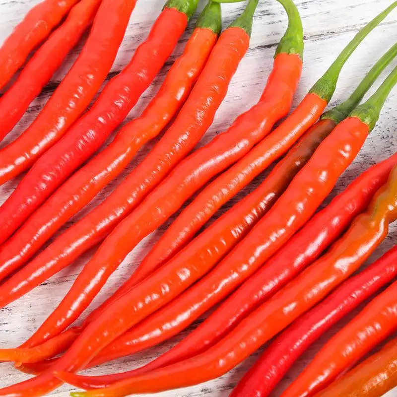 red dry chilli factory direct red sale dry hot flakes chilli