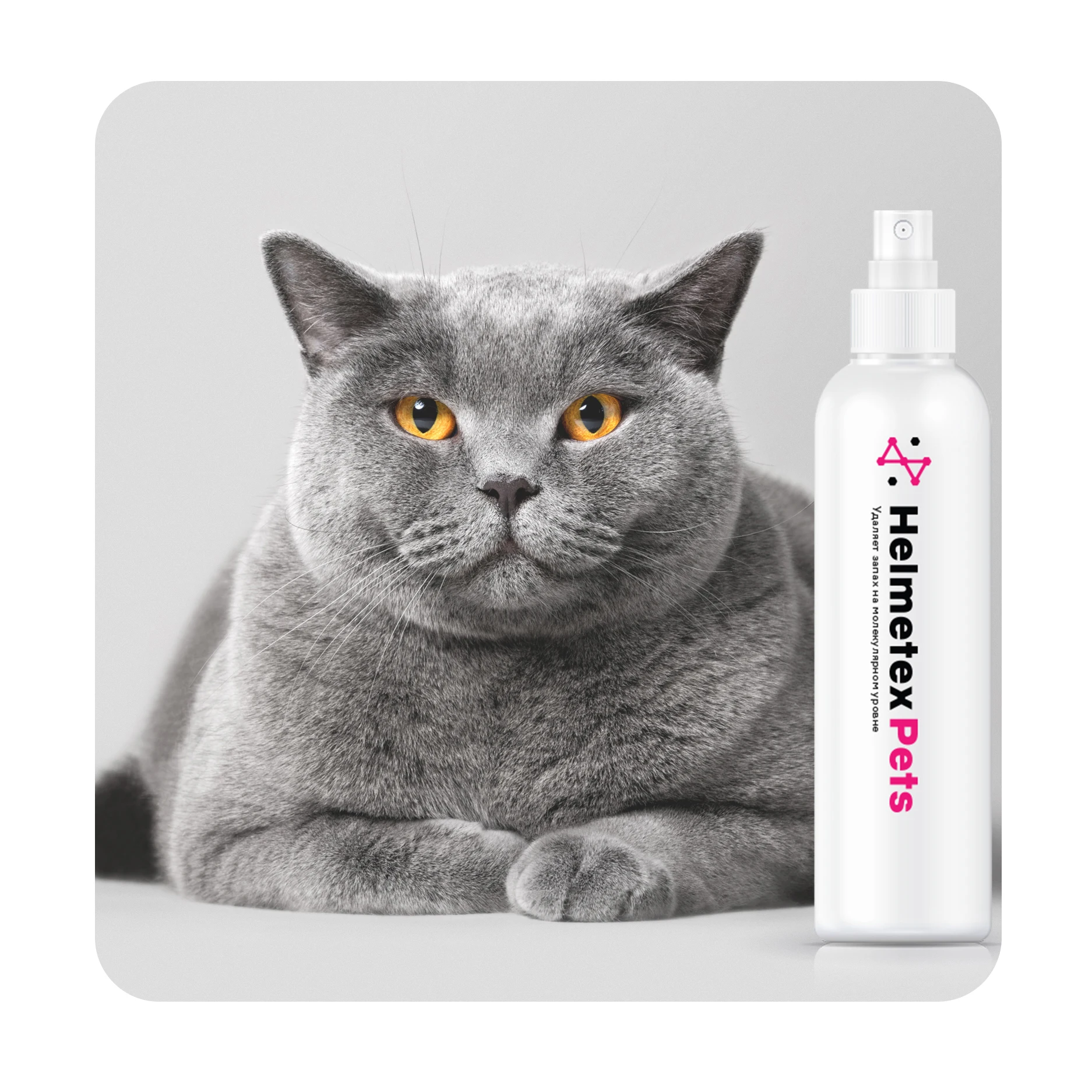 high quality pet odor neutralizer