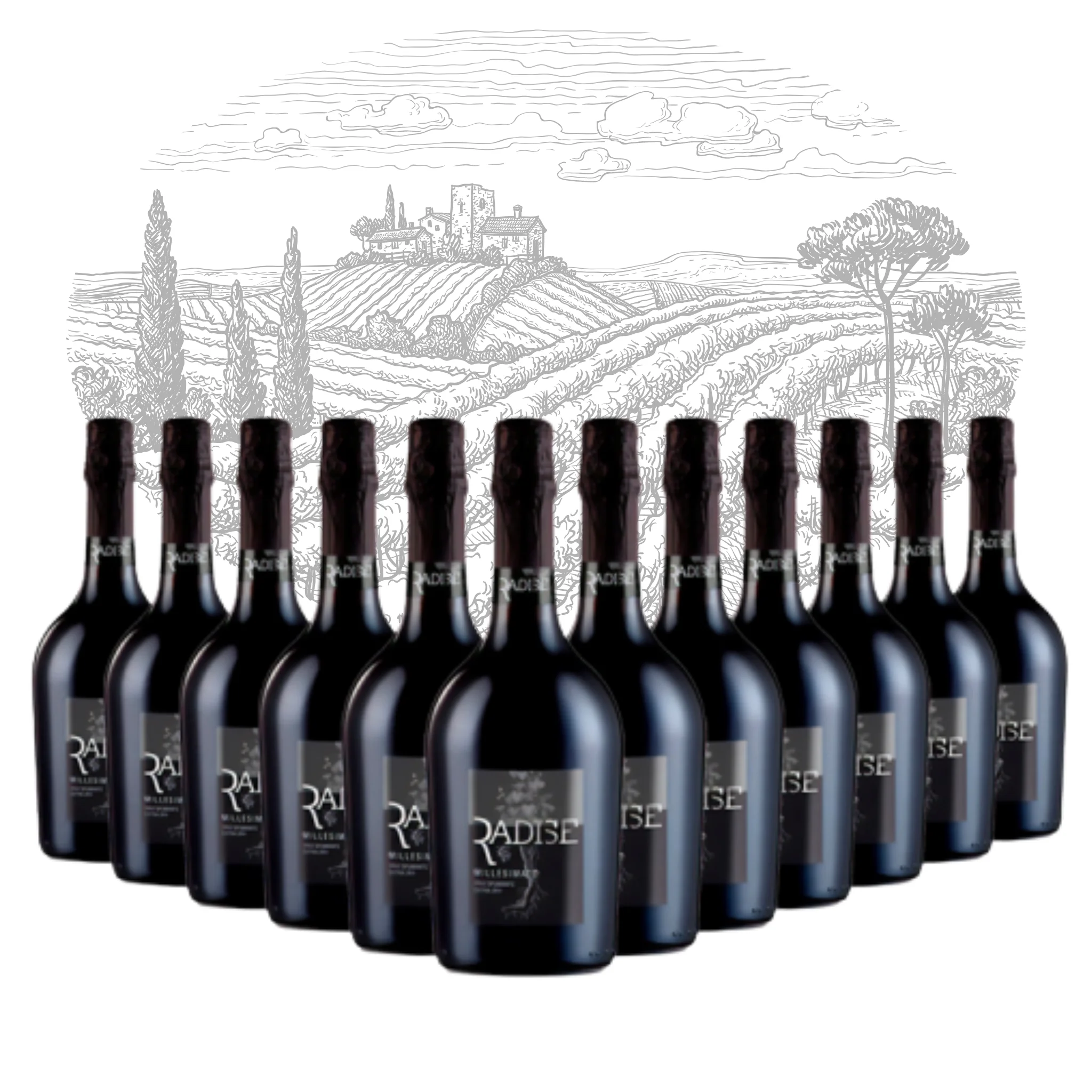 Glera vino spumante extra dry