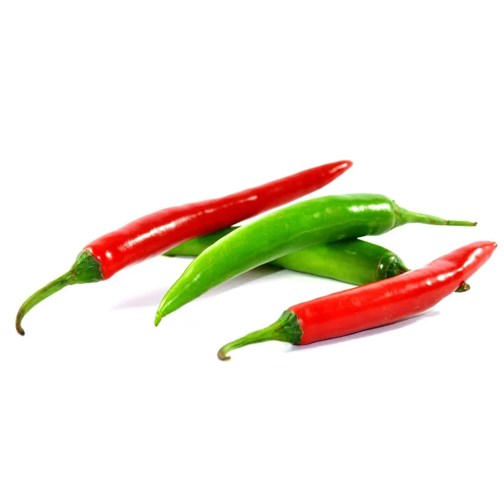 bulk exporter of green chilli from india