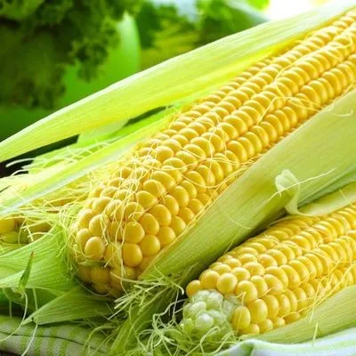 Pemasok Besar Jagung Manis Frozen Dengan Kualitas Tinggi Dan Harga Terbaik Whatsapp 84 707330069 Buy Jagung Kuning Jagung Susu Harga Jagung Kuning Product On Alibaba Com