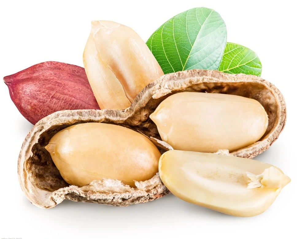 blanched peanut kernels in round shape - buy fried peanuts,crude