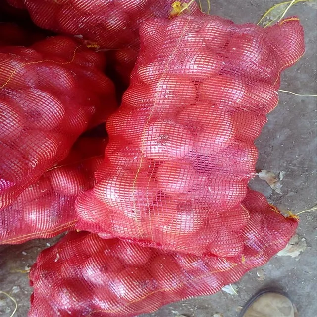 high quality fresh red onion price