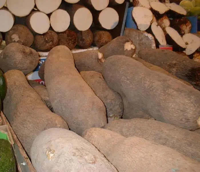 Fresh Natural White Yams For Sale Buy Fresh Yams,Fresh Yam Tubers