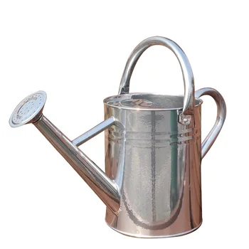 Las Mejores Ofertas En Riego De Acero Inoxidable Latas Y Botellas De Spray N Vintage | EBay