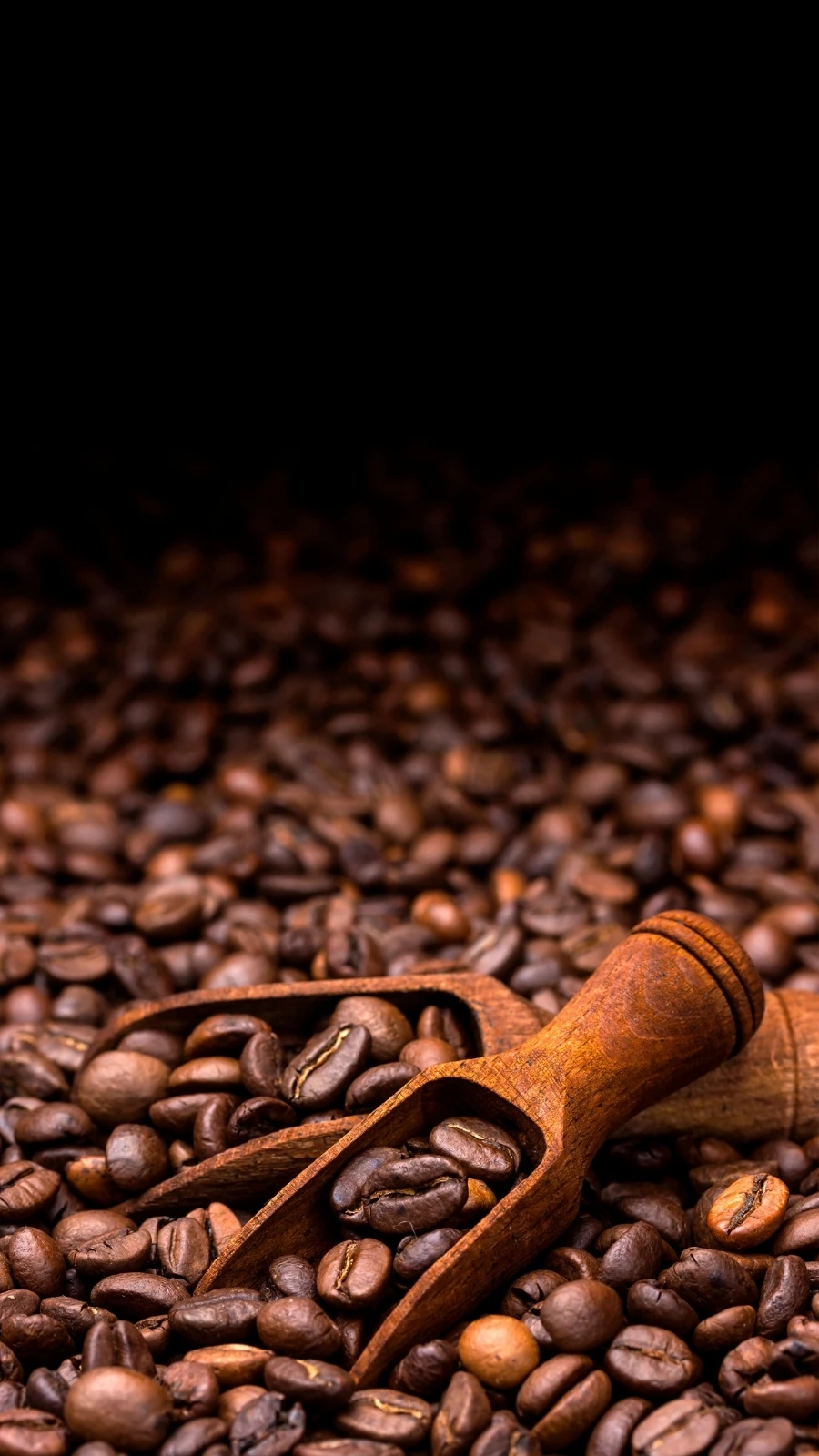 Cheap Arabica Coffee Beans Premium Coffee Supplies Arabica Coffee Beans