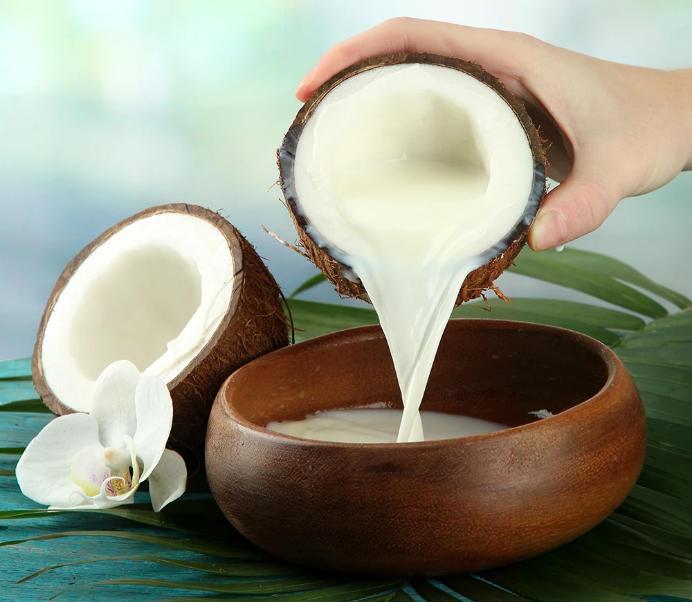 Vietnam Coconut Milk Best Price - Buy Bulk Coconut Milk,Organic Coconut  Milk,Canned Coconut Milk Product on Alibaba.com