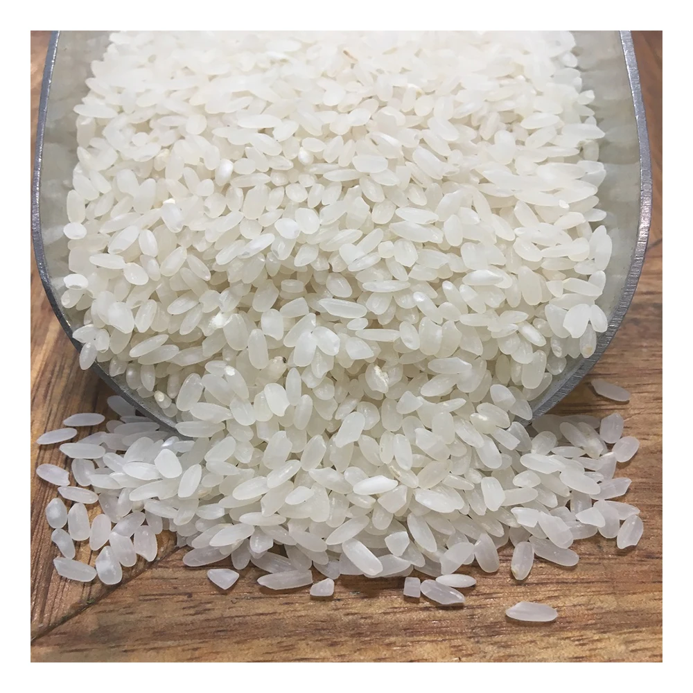 wholesale supply high quality healthy 5% broken japonica rice