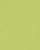 Menthe