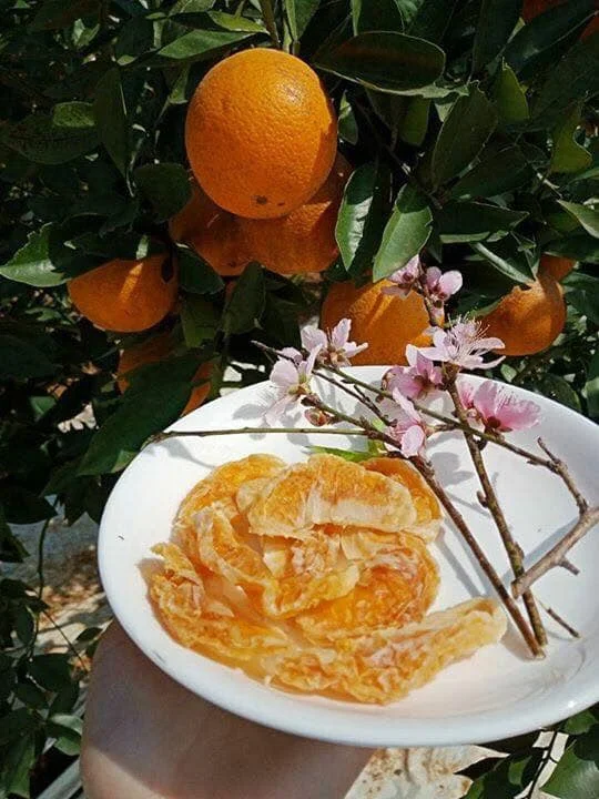 Новый урожай свежих цитрусовых, апельсин, оптовая продажа, размер 5-8,5 см, сертификация Vietgap из Вьетнама