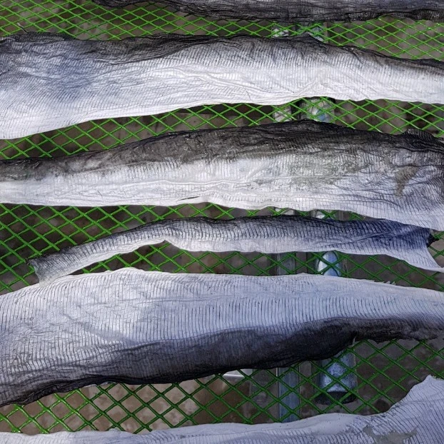 competitive price pangasius dried fish skin for collagen