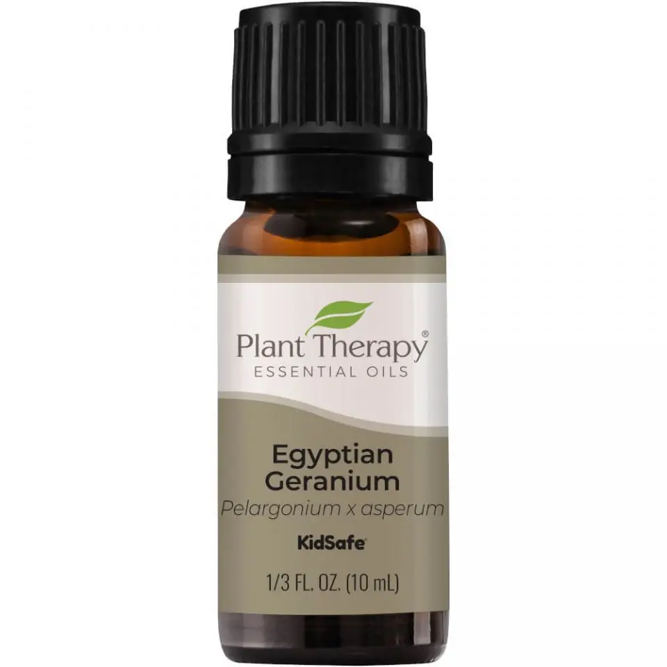 plant therapy premium geranium egyptian essential oil 10 ml