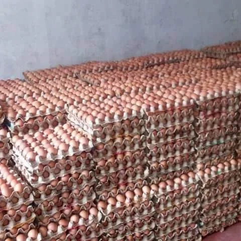 8888.jpg