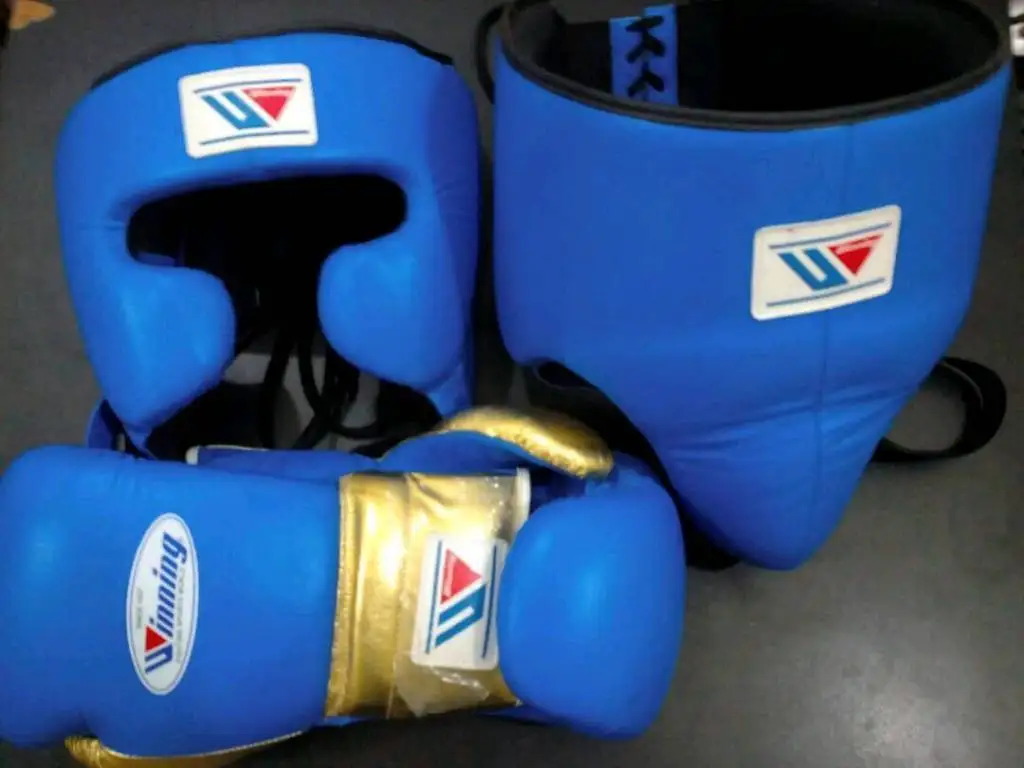 3-Piece Monogram Boxing Glove Set