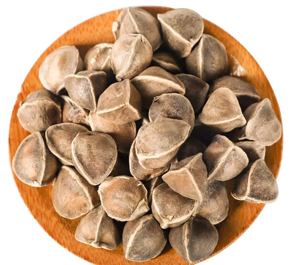 moringa seeds1.jpg